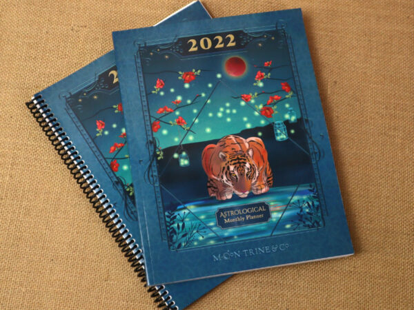 2022 Astrological Monthly Planner — 8.5 x 11