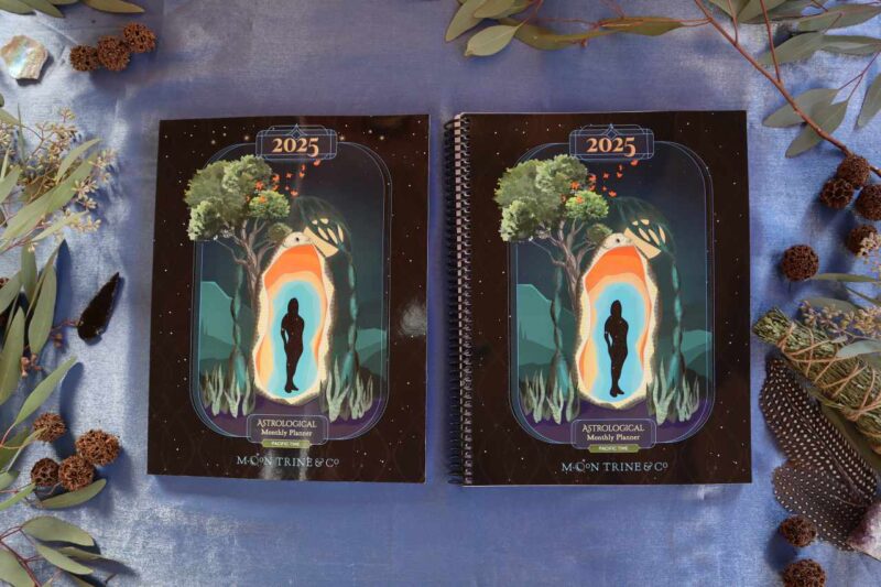 Planner3 2025